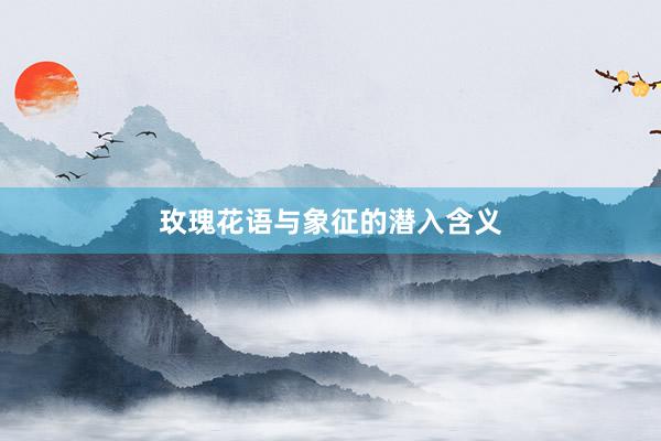 玫瑰花语与象征的潜入含义